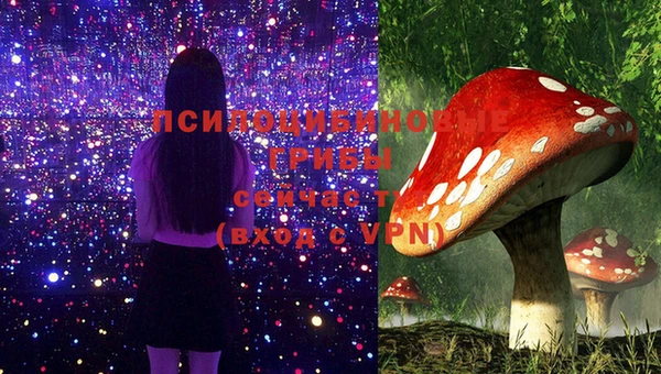 экстази Гусиноозёрск