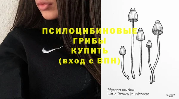 экстази Гусиноозёрск