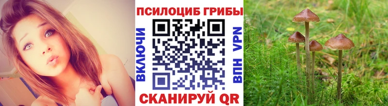 Псилоцибиновые грибы Psilocybe купить наркотики цена OMG зеркало Златоуст